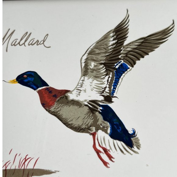 Vtg SCREENCRAFT Mallard TRIVET / WALL HANGING Artist P. Howard Ceramic 6" sq - Picture 6 of 11